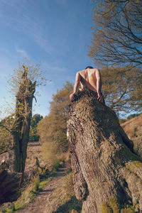Low section of man with bare trees against sky