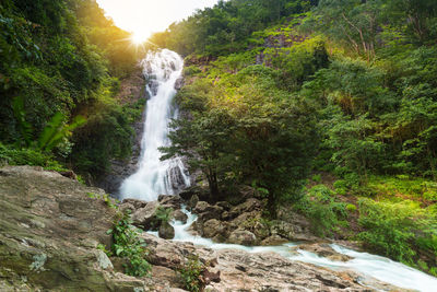 View of waterfall in forest