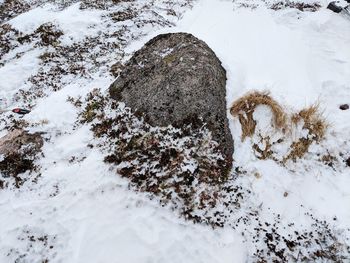 High angle view of snow covered rock on field