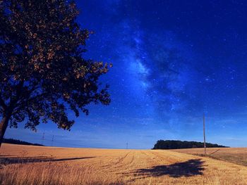 Scenic view of trees on field against sky at night