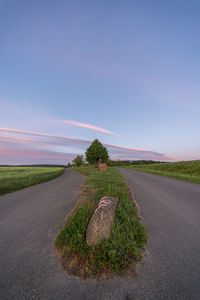 Empty road amidst plants against sky