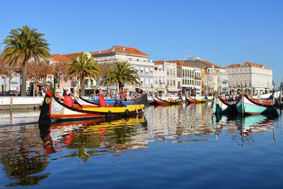 Colorful and traditional moliceiro boats in aveiro, portugal.