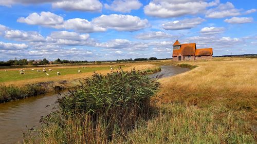Scenic view of field against sky