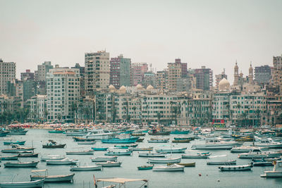 Sailboats moored on harbor against buildings in city