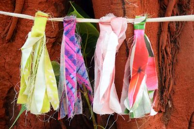 Clothes drying on clothesline