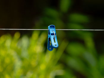 Close-up of clothespins on clothesline