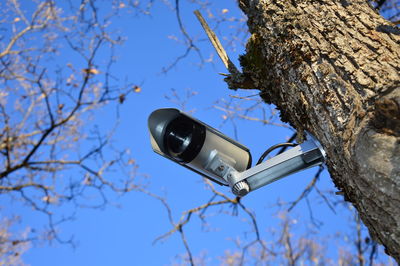 Low angle view of camera on tree against sky