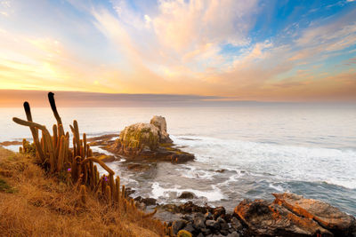 Scenic view of sea against sky during sunset