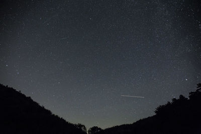 Low angle view of silhouette trees against star field at night