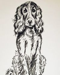 Digital composite image of plant against white background