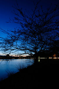 Silhouette bare tree by lake against sky at night