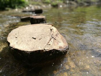 Close-up of water