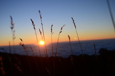 Scenic view of sunset over landscape