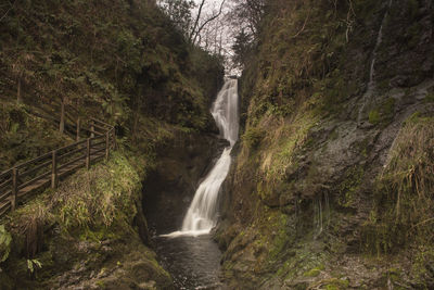 Scenic view of waterfall in forest