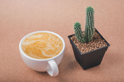 High angle view of potted plant on table