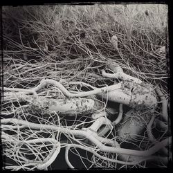 Close-up of fishing net