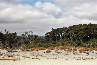 Scenic view of beach against sky