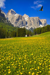 Beautiful mountain scenery of dolomite alps