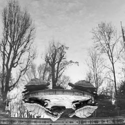 Abandoned bare trees against sky
