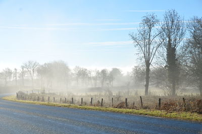 Road by trees on field against sky