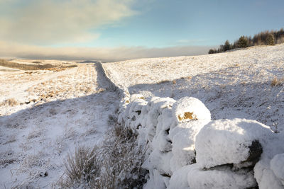 Snow scene in scotland