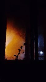 Close-up of silhouette plants against window at night