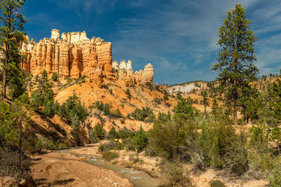 Hoodoos of the bryce canyon as seen from the mossy cave grove 