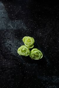 Close-up of ice cream against black background