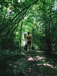 Man walking in forest
