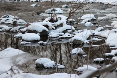 Snow covered field