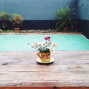 High angle view of potted plant on table by swimming pool