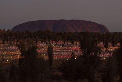 View of trees on field against mountain