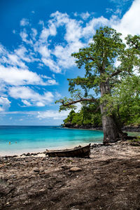 Scenic view of beach against blue sky