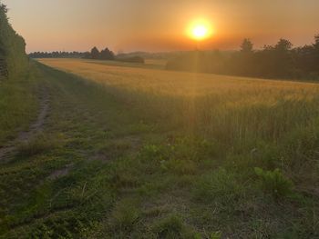 Scenic view of field against sky during sunset