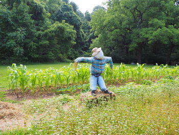 Rear view of woman standing on field