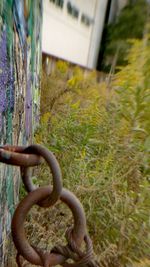 Close-up view of rusty metal