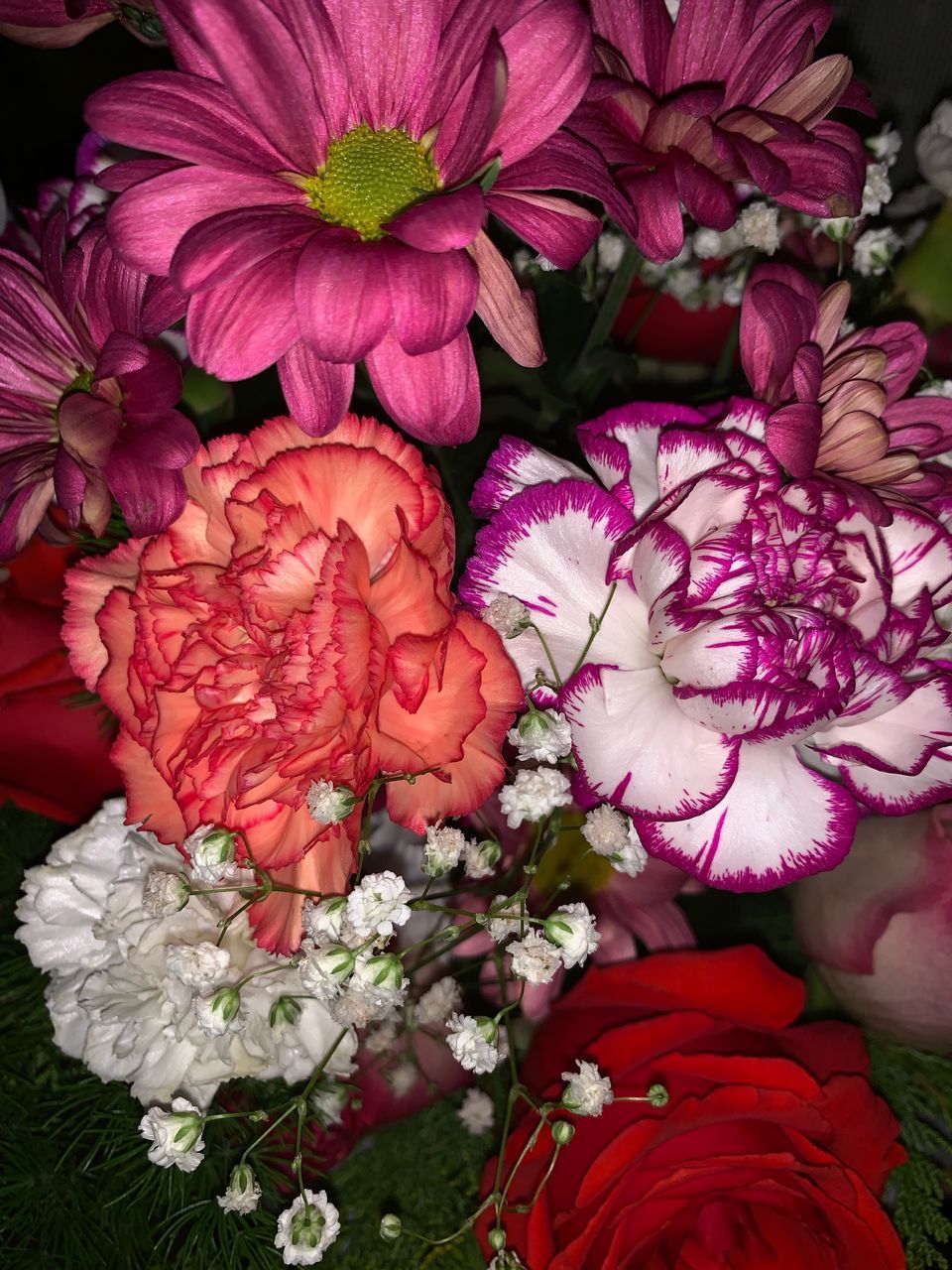 HIGH ANGLE VIEW OF PINK FLOWERING PLANT ON PURPLE FLOWER