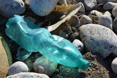 High angle view of crab on rocks at shore