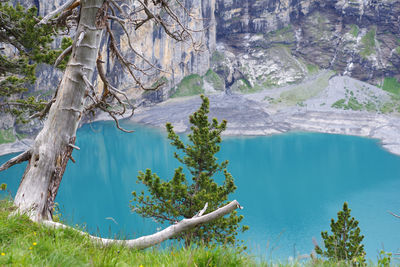 Scenic view of lake amidst trees