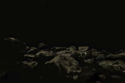 Close-up of food on rock against black background