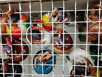 Full frame of food on table