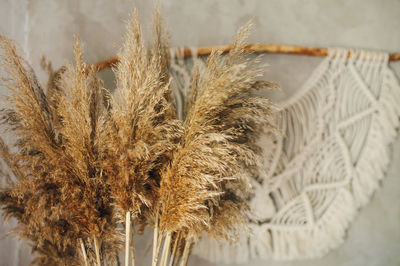 Bouquet of dried wild flowers on the background of a concrete wall with a macrame panel