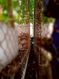 Close-up of chainlink fence in cage