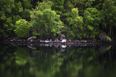 View at the fjords in norway