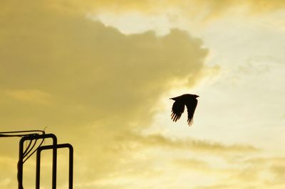 Low angle view of silhouette bird flying against sky