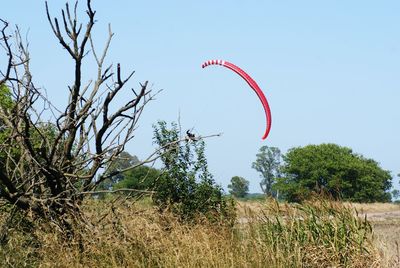 Low angle view of kite flying against clear sky