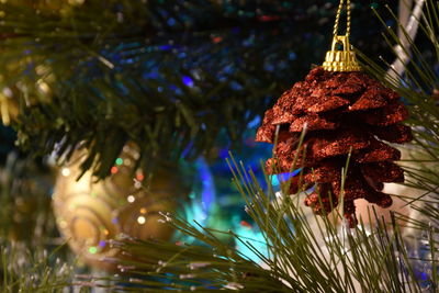 Low angle view of christmas tree
