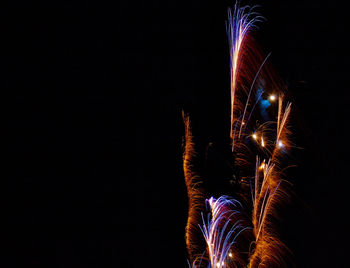 Low angle view of firework display against sky at night