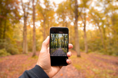 Cropped hand of man photographing autumn trees in forest