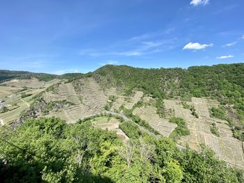 High angle view of plants on mountain